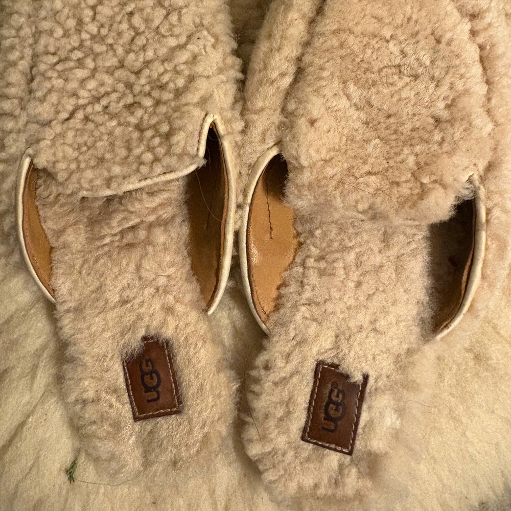 Uggs slippers